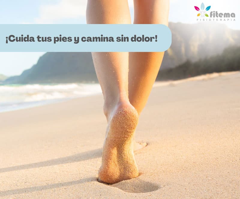 Sigue todas nuestras novedades en redes sociales